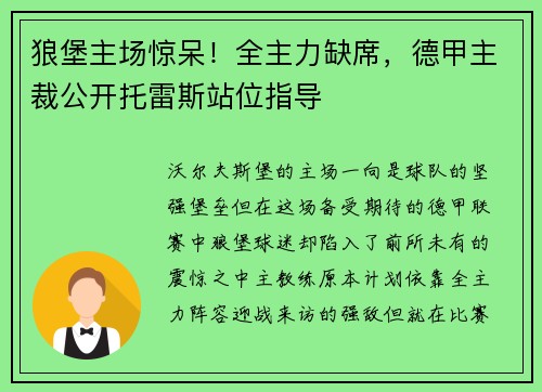 狼堡主场惊呆！全主力缺席，德甲主裁公开托雷斯站位指导