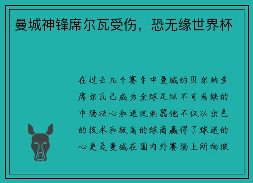 曼城神锋席尔瓦受伤，恐无缘世界杯